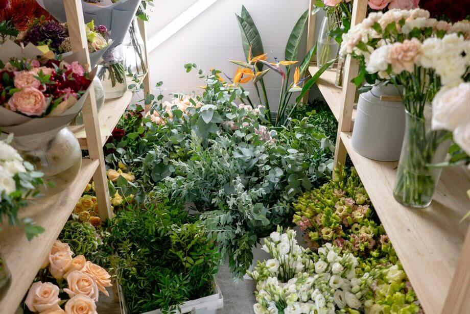 Refrigerated Storage for Cut Flowers, House Plants and More